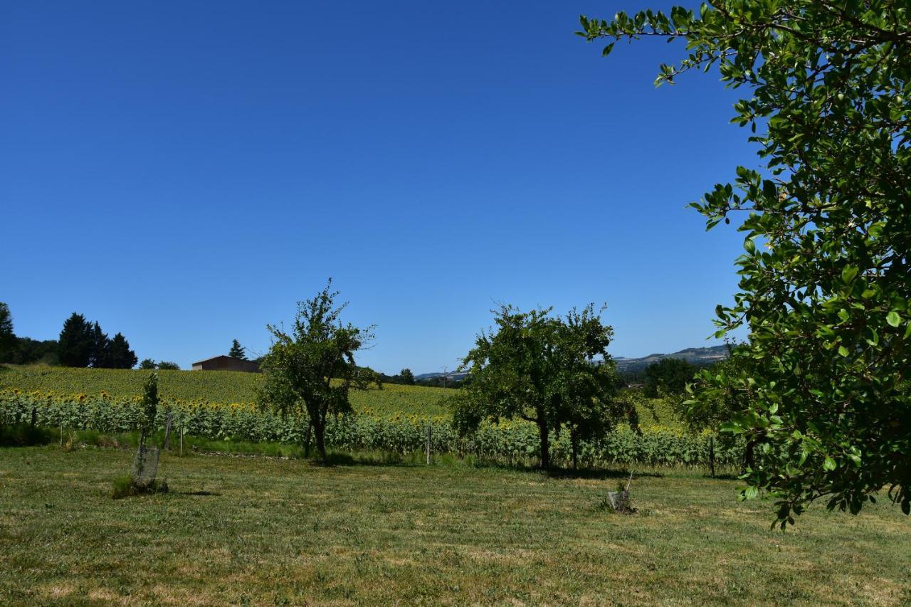 Domaine de calbiac Bed & Breakfast Dolmayrac Exterior foto